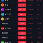 时间盘完整源码带码支付/微盘/外汇盘/可封装APP