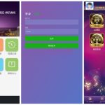 独家更新最新飞单飞鸟系统源码+完美运营带KJ动画CJ正常+无限开房